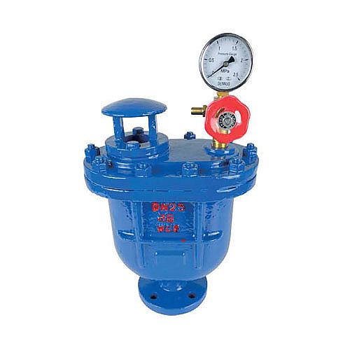 CARX複(fú)合式排氣閥